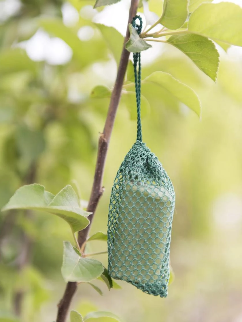 Deer No No, Set Of 6 3 Deer No No, Set Of 6