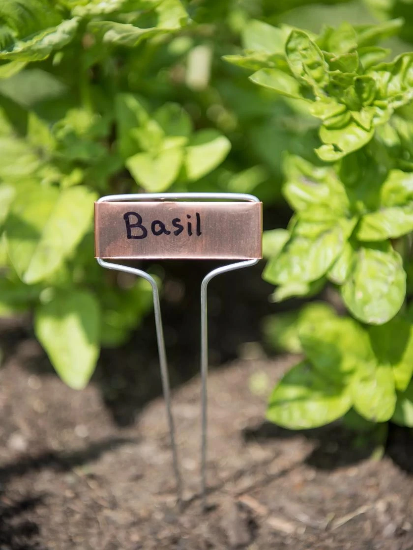 Copper Perennial Markers, Set Of 10 3 Copper Perennial Markers, Set Of 10