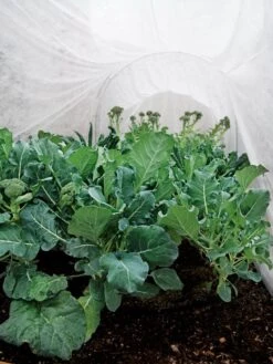 Summerweight Garden Fabric 10 Summerweight Garden Fabric -Garden Supplies Sales 32644 7936 tif