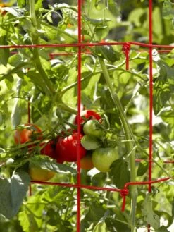 Tomato Cages, Set Of 4 -Garden Supplies Sales 34182 592 1