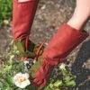 Rose Gloves -Garden Supplies Sales 36874 0026 tif