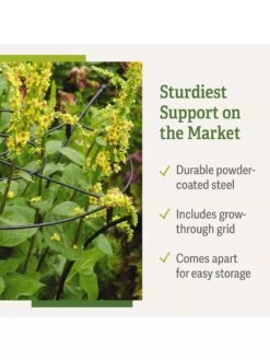 Essex Plant Supports -Garden Supplies Sales 37 423 product details