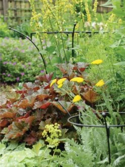 Essex Plant Supports -Garden Supplies Sales 37423 280 tif