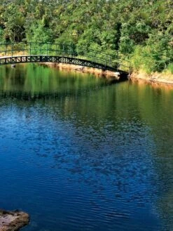 Aquasphere Pond Cleaners -Garden Supplies Sales 37425 001ed 1