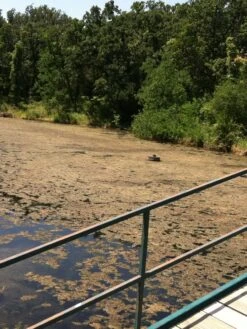 Blast, 2,500 Gallon, 5 Packets -Garden Supplies Sales 37425 001v 1 1