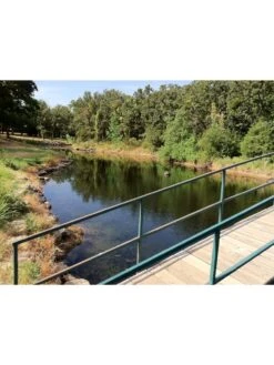 Blast, 125,000 Gallon, 12 Packets 7 Blast, 125,000 Gallon, 12 Packets -Garden Supplies Sales 37425 002v 1