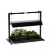 Compact Tabletop SunLite® Garden 2 Compact Tabletop SunLite® Garden -Garden Supplies Sales 37817 1640 tabletop grow light 3 4