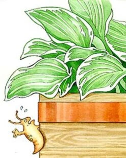 Copper Slug Tape 7 Copper Slug Tape -Garden Supplies Sales 38 994 b