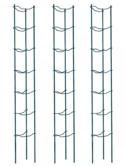 Tomato Ladders, Set Of 3 -Garden Supplies Sales 38184 002E psd