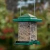 Easy View Squirrel-Proof Birdfeeder -Garden Supplies Sales 38356 01V tif