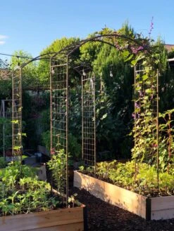 Deep Root Raised Beds, 14" Deep 4' Wide -Garden Supplies Sales 38690 02IN tif 1