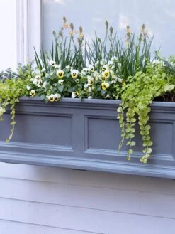 Fairfield Self-Watering Window Box, 3’ -Garden Supplies Sales 39 344 9360 tif