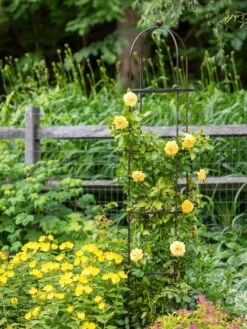 Jardin Round Obelisk, 7' 9 Jardin Round Obelisk, 7' -Garden Supplies Sales 39 530 1668 tif