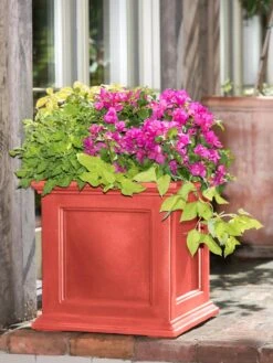 Fairfield Self-Watering Square Planter, 20” X 20” 16 Fairfield Self-Watering Square Planter, 20” X 20” -Garden Supplies Sales 39 618 08477 tif