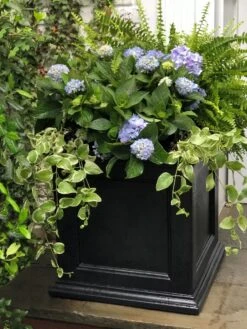 Fairfield Self-Watering Square Planter, 20” X 20” 13 Fairfield Self-Watering Square Planter, 20” X 20” -Garden Supplies Sales 39 618 205V tif