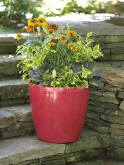 Viva Round Self-Watering Rolling Planter, 17.25” Diameter -Garden Supplies Sales 39326 046 tif