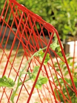Deluxe Cucumber Trellis 12 Deluxe Cucumber Trellis -Garden Supplies Sales 39806 542 tif