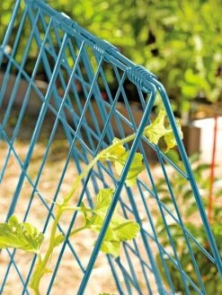 Deluxe Cucumber Trellis 14 Deluxe Cucumber Trellis -Garden Supplies Sales 39806 BLUE 100 tif