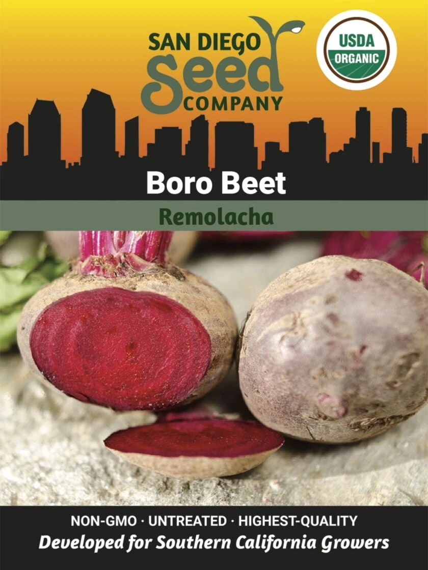 Beet, Boro Organic Seeds 3 Beet, Boro Organic Seeds