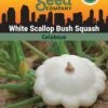 Squash, White Scallop Bush Summer Organic Seeds -Garden Supplies Sales 3 4 crop 84589 8613564 Squash White Scallop Bush