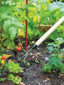 Gardener's Lifetime Long-Handled Double Tool 9 Gardener's Lifetime Long-Handled Double Tool -Garden Supplies Sales 3 4 crop 8592107 2460 tif