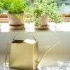 Precision Brass Watering Can -Garden Supplies Sales 3 4 crop 8612812 0076 precision brass watering can