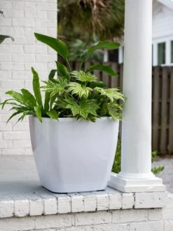 Viva Square Self-Watering Rolling Planter, 20" Diameter, Set Of 2 -Garden Supplies Sales 3 4 crop 8612930 0033 tif