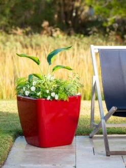 Viva Square Self-Watering Rolling Planter, 20" Diameter, Set Of 2 -Garden Supplies Sales 3 4 crop 8612930 0035 tif