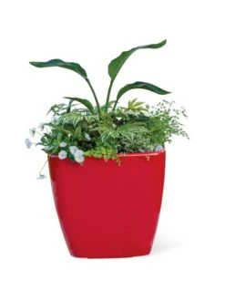 Viva Square Self-Watering Rolling Planter, 20" Diameter, Set Of 2 -Garden Supplies Sales 3 4 crop 8612930 0037 tif
