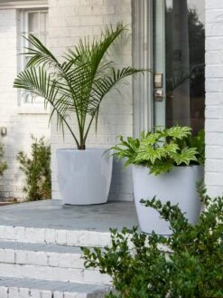 Viva Round Self-Watering Rolling Planter, 20" Diameter, Set Of 2 -Garden Supplies Sales 3 4 crop 8612933 10023