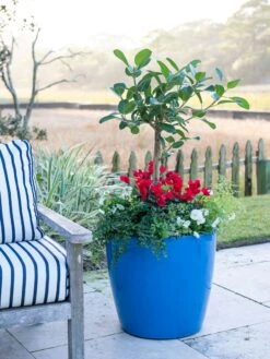 Viva Round Self-Watering Rolling Planter, 20" Diameter, Set Of 2 -Garden Supplies Sales 3 4 crop 8612933 5312 tif