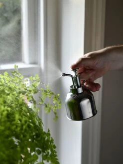 Indoor Plant Mister -Garden Supplies Sales 3 4 crop 8612962 02V tif