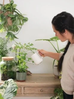 Pinpoint Indoor Watering Can -Garden Supplies Sales 3 4 crop 8612963 3774