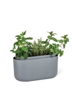 Tolita Recycled Self-Watering Flower Box -Garden Supplies Sales 3 4 crop 8612964 01V tif