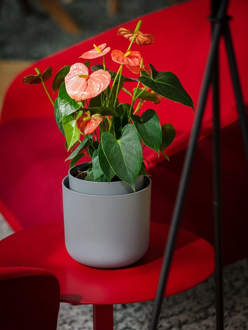 Tolita Recycled Self-Watering Flower Pot, 8" Diameter 3 Tolita Recycled Self-Watering Flower Pot, 8" Diameter