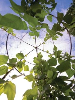 Jardin Tower 12 Jardin Tower -Garden Supplies Sales 3 4 crop 8612997 0033