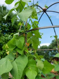 Jardin Tower 10 Jardin Tower -Garden Supplies Sales 3 4 crop 8612997 0058