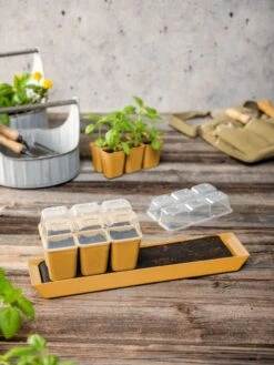 Gardener's Best® Humidity Dome, Set Of 2 -Garden Supplies Sales 3 4 crop 8613067 10063