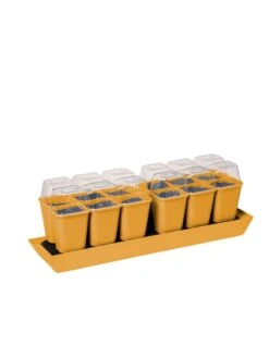 Gardener's Best® Humidity Dome, Set Of 2 -Garden Supplies Sales 3 4 crop 8613067 5879 tif