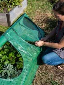 Multi Cloche -Garden Supplies Sales 3 4 crop 8613213 0245