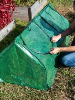 Multi Cloche -Garden Supplies Sales 3 4 crop 8613213 0250