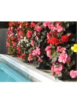 Flower Tower -Garden Supplies Sales 3 4 crop 8613624 03V