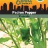 Pepper, Padron Organic Seeds -Garden Supplies Sales 3 4 crop 87466 8613547 Pepper Padron SDSC