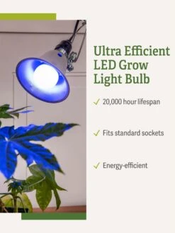 Miracle LED® Grow Light Bulb, Blue -Garden Supplies Sales 3 4 crop Miracle Bulb Blue 1