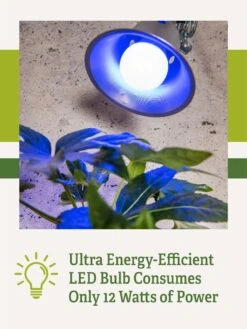 Miracle LED® Grow Light Bulb, Blue -Garden Supplies Sales 3 4 crop Miracle Bulb Blue 2