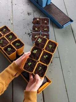 Gardener's Best® XL Seed Starting Kit 21 Gardener's Best® XL Seed Starting Kit -Garden Supplies Sales 40 135 6186