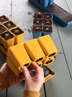 Gardener's Best® XL Seed Starting Kit 23 Gardener's Best® XL Seed Starting Kit -Garden Supplies Sales 40 135 6188