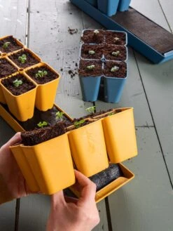 Coco Coir Seed Starting Mix -Garden Supplies Sales 40 135 6192