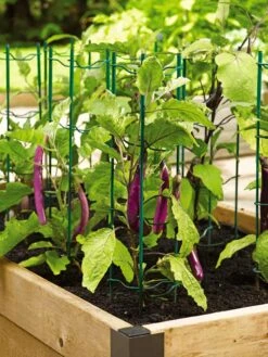 Pepper And Eggplant Stakes, Set Of 3 -Garden Supplies Sales 40308 2116 tif
