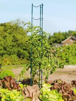 Stacking Tomato Ladders, Set Of 6 9 Stacking Tomato Ladders, Set Of 6 -Garden Supplies Sales 40309 100 tif